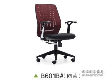 M-601B（网背）
