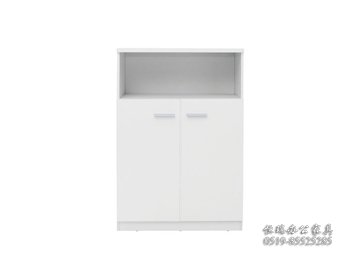 OL-S0208